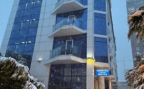 Hotel Tsereteli Palace